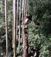 Parcours 3 - Bois